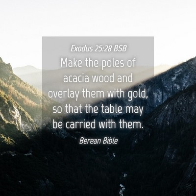 Picture 04 - Exodus 25:28 BSB - Make the poles of acacia wood and overlay them - Bible Verse Picture