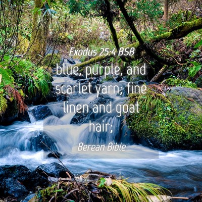 Picture 04 - Exodus 25:4 BSB - blue, purple, and scarlet yarn; fine linen and - Bible Verse Picture