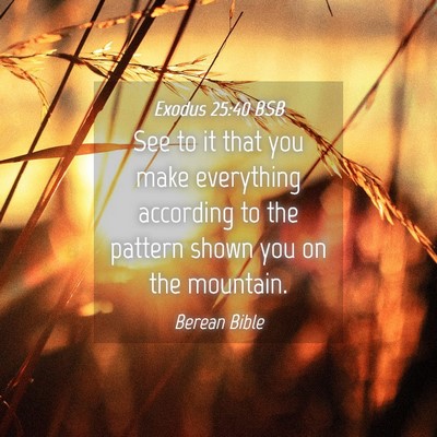 Picture 04 - Exodus 25:40 BSB - See to it that you make everything according to - Bible Verse Picture