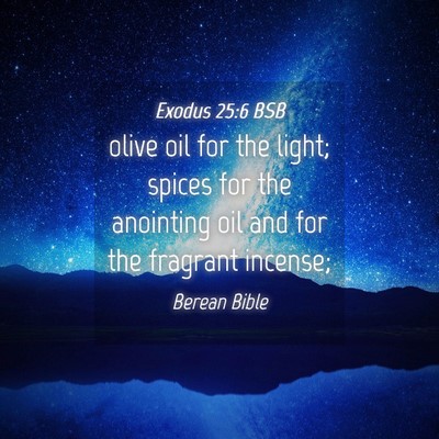 Picture 04 - Exodus 25:6 BSB - olive oil for the light; spices for the anointing - Bible Verse Picture