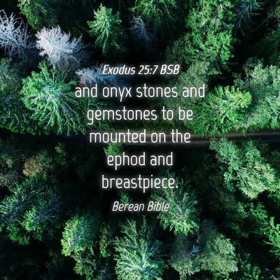 Picture 04 - Exodus 25:7 BSB - and onyx stones and gemstones to be mounted on - Bible Verse Picture