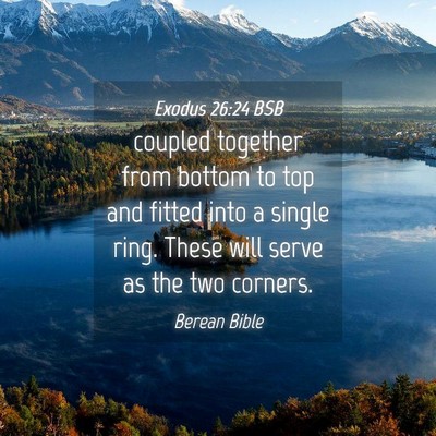 Picture 04 - Exodus 26:24 BSB - coupled together from bottom to top and fitted - Bible Verse Picture