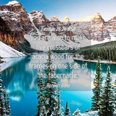 Picture 04 - Exodus 26:26 BSB - You are also to make five crossbars of acacia - Bible Verse Picture