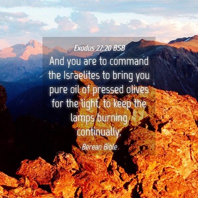 Picture 04 - Exodus 27:20 BSB - And you are to command the Israelites to bring - Bible Verse Picture