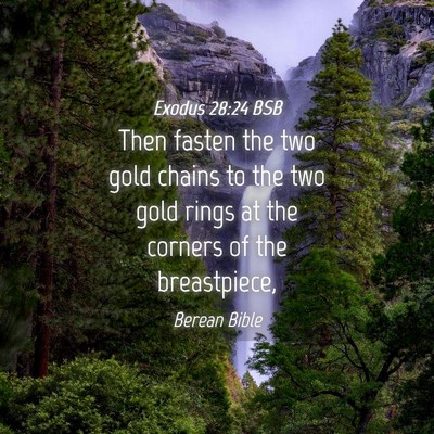 Picture 04 - Exodus 28:24 BSB - Then fasten the two gold chains to the two gold - Bible Verse Picture