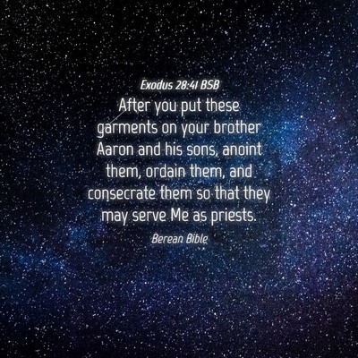 Picture 04 - Exodus 28:41 BSB - After you put these garments on your brother - Bible Verse Picture