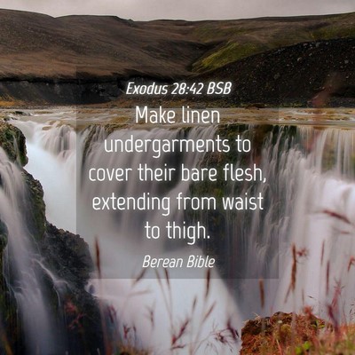 Picture 04 - Exodus 28:42 BSB - Make linen undergarments to cover their bare - Bible Verse Picture