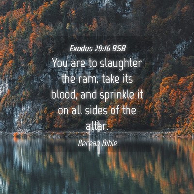 Picture 04 - Exodus 29:16 BSB - You are to slaughter the ram, take its blood, and - Bible Verse Picture