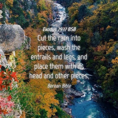 Picture 04 - Exodus 29:17 BSB - Cut the ram into pieces, wash the entrails and - Bible Verse Picture