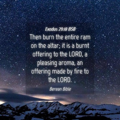 Picture 04 - Exodus 29:18 BSB - Then burn the entire ram on the altar; it is a - Bible Verse Picture