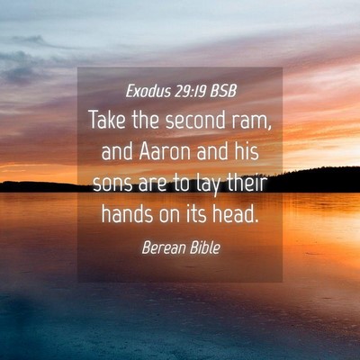 Picture 04 - Exodus 29:19 BSB - Take the second ram, and Aaron and his sons are - Bible Verse Picture