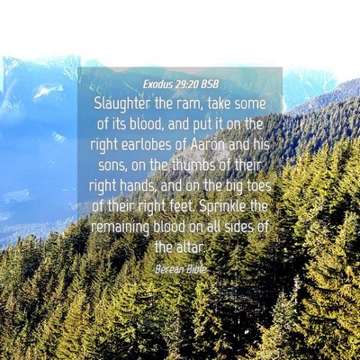 Picture 04 - Exodus 29:20 BSB - Slaughter the ram, take some of its blood, and - Bible Verse Picture
