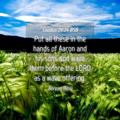 Picture 04 - Exodus 29:24 BSB - Put all these in the hands of Aaron and his sons - Bible Verse Picture