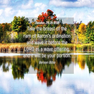Picture 04 - Exodus 29:26 BSB - Take the breast of the ram of Aaron’s - Bible Verse Picture