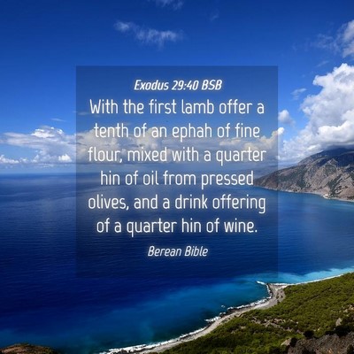 Picture 04 - Exodus 29:40 BSB - With the first lamb offer a tenth of an ephah of - Bible Verse Picture