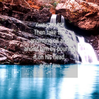 Picture 04 - Exodus 29:7 BSB - Then take the anointing oil and anoint him by - Bible Verse Picture