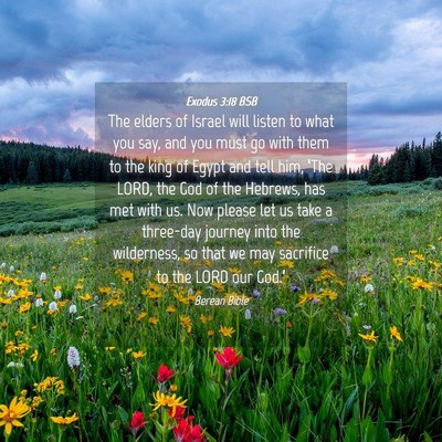 Picture 04 - Exodus 3:18 BSB - The elders of Israel will listen to what you say, - Bible Verse Picture