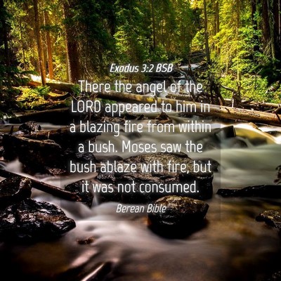 Picture 04 - Exodus 3:2 BSB - There the angel of the LORD appeared to him in a - Bible Verse Picture