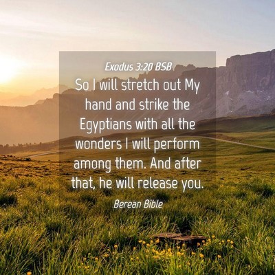 Picture 04 - Exodus 3:20 BSB - So I will stretch out My hand and strike the - Bible Verse Picture
