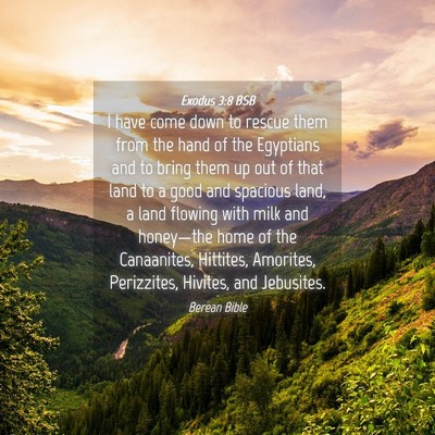 Picture 04 - Exodus 3:8 BSB - I have come down to rescue them from the hand of - Bible Verse Picture