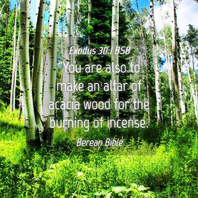 Picture 04 - Exodus 30:1 BSB - “You are also to make an altar of acacia wood - Bible Verse Picture