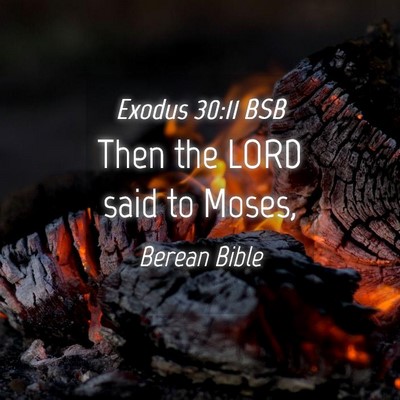 Picture 04 - Exodus 30:11 BSB - Then the LORD said to - Bible Verse Picture
