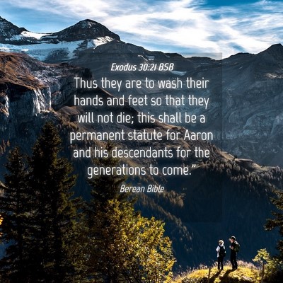 Picture 04 - Exodus 30:21 BSB - Thus they are to wash their hands and feet so - Bible Verse Picture