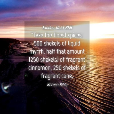Picture 04 - Exodus 30:23 BSB - “Take the finest spices: 500 shekels of liquid - Bible Verse Picture