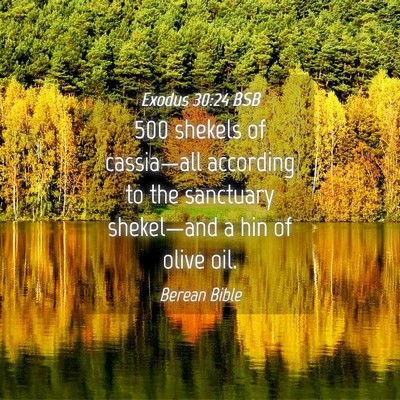 Picture 04 - Exodus 30:24 BSB - 500 shekels of cassia—all according to the - Bible Verse Picture
