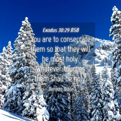 Picture 04 - Exodus 30:29 BSB - You are to consecrate them so that they will be - Bible Verse Picture