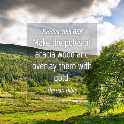 Picture 04 - Exodus 30:5 BSB - Make the poles of acacia wood and overlay them - Bible Verse Picture