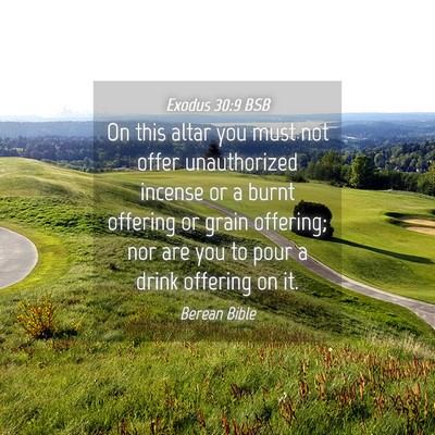 Picture 04 - Exodus 30:9 BSB - On this altar you must not offer unauthorized - Bible Verse Picture