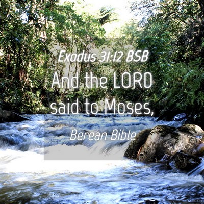 Picture 04 - Exodus 31:12 BSB - And the LORD said to - Bible Verse Picture