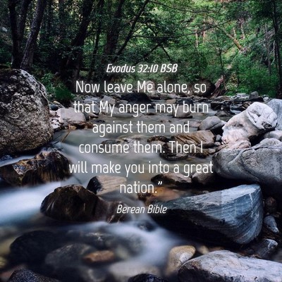 Picture 04 - Exodus 32:10 BSB - Now leave Me alone, so that My anger may burn - Bible Verse Picture