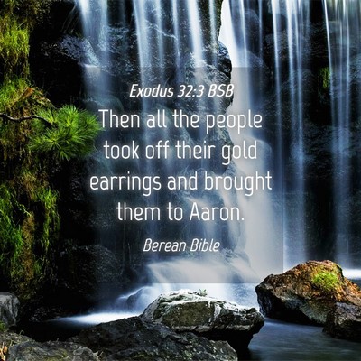 Picture 04 - Exodus 32:3 BSB - Then all the people took off their gold earrings - Bible Verse Picture