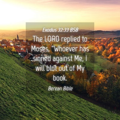 Picture 04 - Exodus 32:33 BSB - The LORD replied to Moses, “Whoever has sinned - Bible Verse Picture
