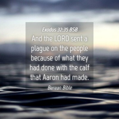 Picture 04 - Exodus 32:35 BSB - And the LORD sent a plague on the people because - Bible Verse Picture