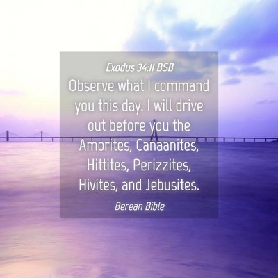 Picture 04 - Exodus 34:11 BSB - Observe what I command you this day. I will drive - Bible Verse Picture
