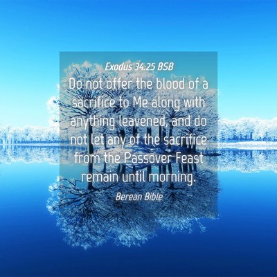 Picture 04 - Exodus 34:25 BSB - Do not offer the blood of a sacrifice to Me along - Bible Verse Picture