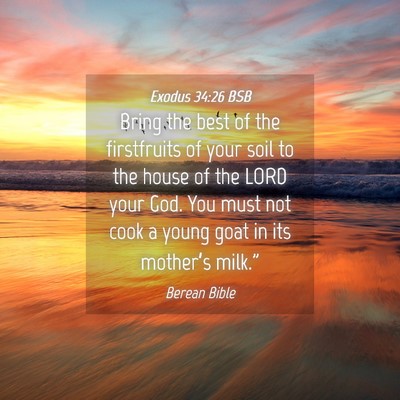 Picture 04 - Exodus 34:26 BSB - Bring the best of the firstfruits of your soil to - Bible Verse Picture