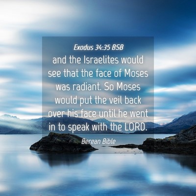 Picture 04 - Exodus 34:35 BSB - and the Israelites would see that the face of - Bible Verse Picture