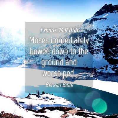 Picture 04 - Exodus 34:8 BSB - Moses immediately bowed down to the ground and - Bible Verse Picture