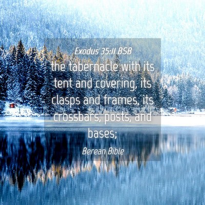 Picture 04 - Exodus 35:11 BSB - the tabernacle with its tent and covering, its - Bible Verse Picture