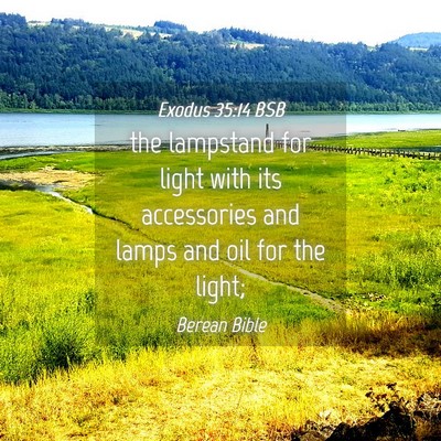 Picture 04 - Exodus 35:14 BSB - the lampstand for light with its accessories and - Bible Verse Picture