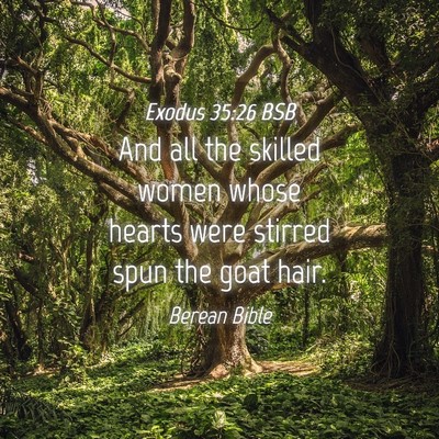 Picture 04 - Exodus 35:26 BSB - And all the skilled women whose hearts were - Bible Verse Picture