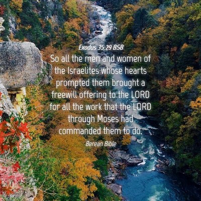 Picture 04 - Exodus 35:29 BSB - So all the men and women of the Israelites whose - Bible Verse Picture