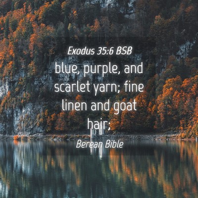 Picture 04 - Exodus 35:6 BSB - blue, purple, and scarlet yarn; fine linen and - Bible Verse Picture