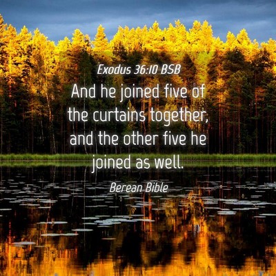 Picture 04 - Exodus 36:10 BSB - And he joined five of the curtains together, and - Bible Verse Picture