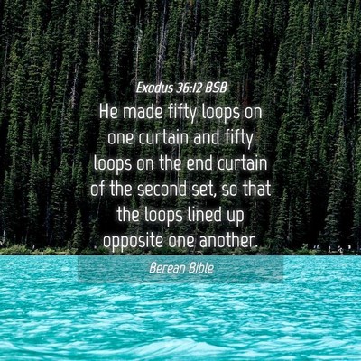 Picture 04 - Exodus 36:12 BSB - He made fifty loops on one curtain and fifty - Bible Verse Picture