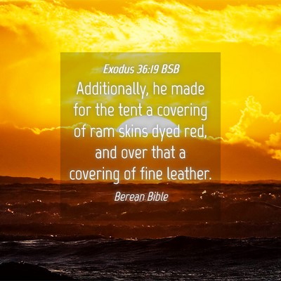 Picture 04 - Exodus 36:19 BSB - Additionally, he made for the tent a covering of - Bible Verse Picture